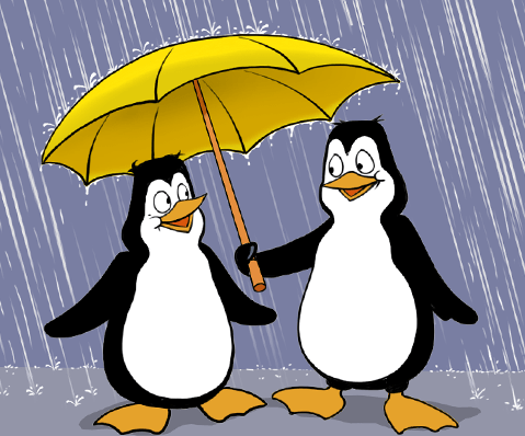 Penguins in the rain with one penguin sharing an umbrella with the other