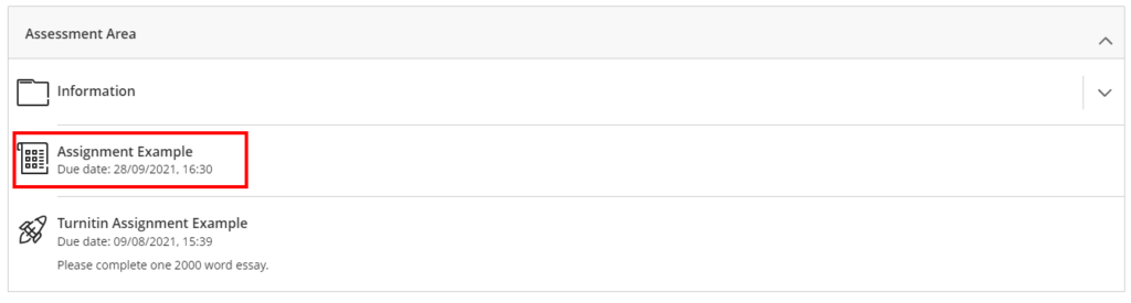My Dundee module assessment area highlighting a Blackboard Assessment