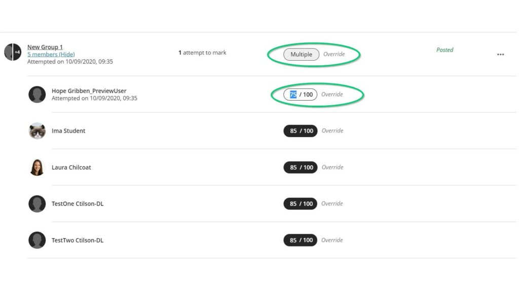 Screenshot of grade page with a circle around 'multiple grades' assigned to the group, and another circle around a student who has a unique grade.