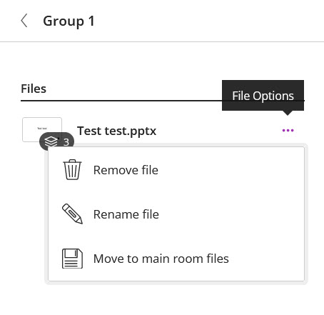 Screenshot of the three dot menu next to a group file. There menu is open. 