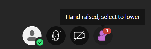 Screenshot of a Collaborate session. The only thing in view are the icons at the bottom centre of the screen. The hands-up icon is purple, indicating that the user's hand is up.