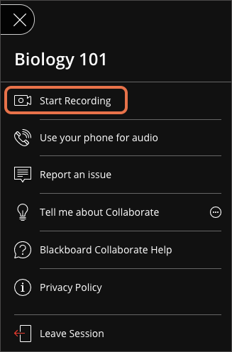 Screen shot of Collaborate session highlighting the option to "Start Recording"