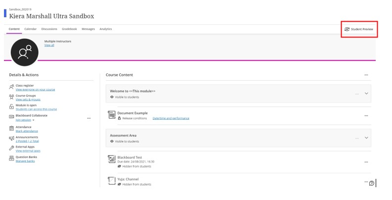 My Dundee module highlighting the student preview button