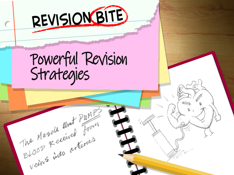 Revision Bite Powerful Revision Strategies decretive image